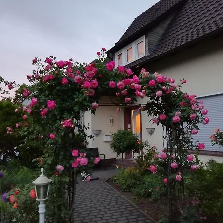 Willy Und Gudrun Apartment Rheda-Wiedenbrück Екстериор снимка