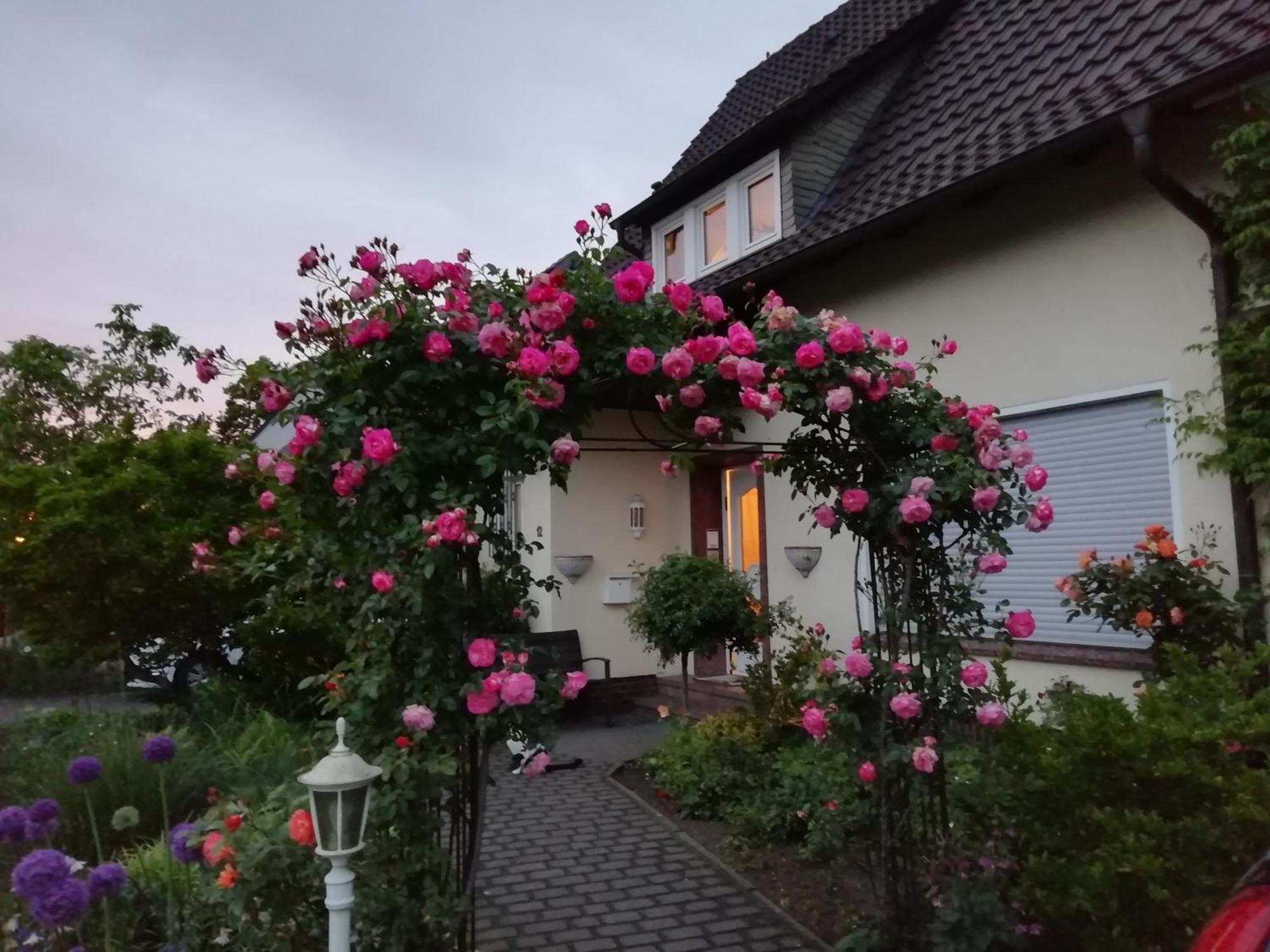 Willy Und Gudrun Apartment Rheda-Wiedenbrück Екстериор снимка